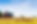 Untitled design (11).png