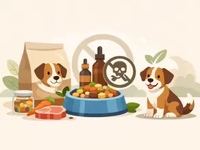 Dog Food With No Preservatives Explained