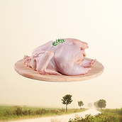 YSH FARM - Fresh Chicken.png