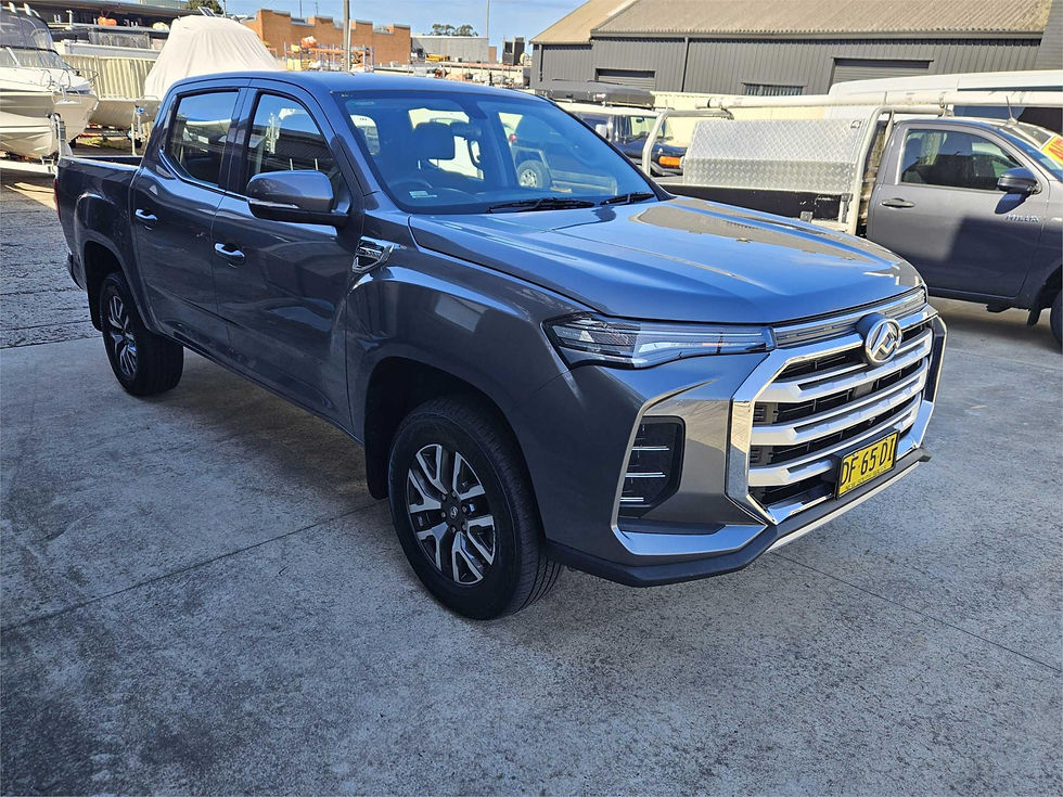 Thumbnail: LDV T60 2022