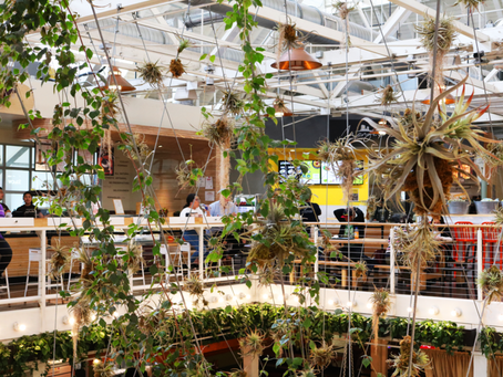 The Anaheim Packing What? A Look Into the Food, Ambience and History