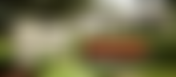 Two Rules | Karli's Philosophies of Life