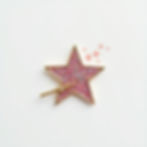 Wishing Star Pin