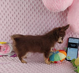 20250714_183731.jpg