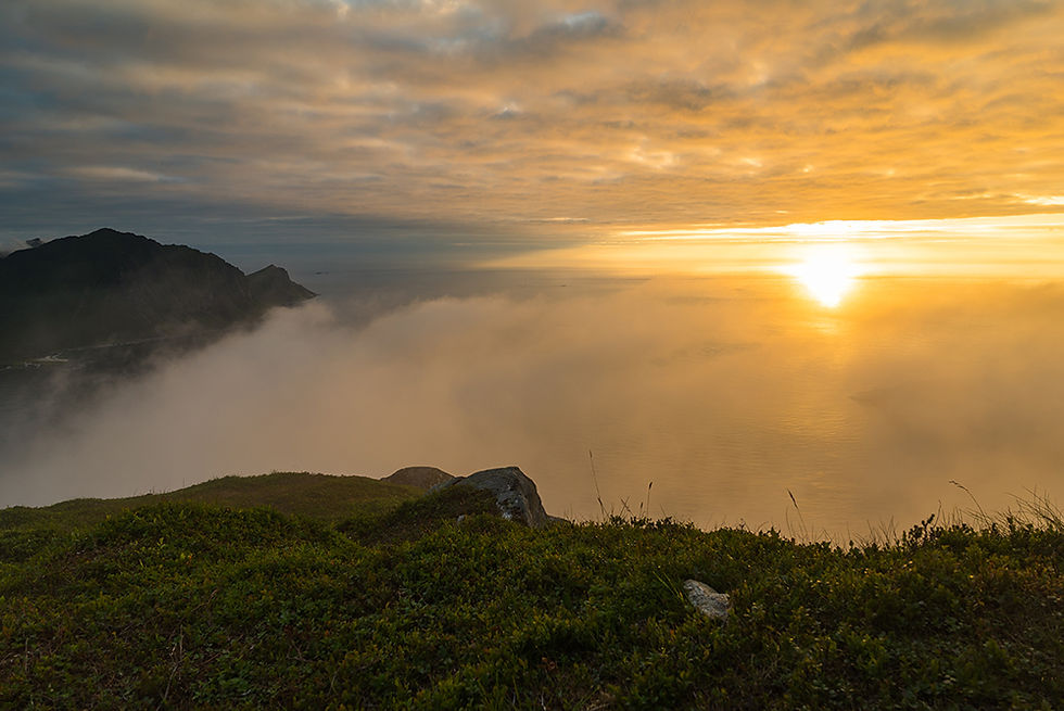 Offerøyskammen