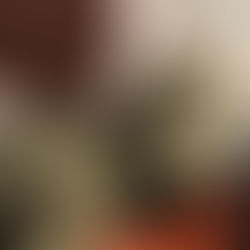 Josephine - ~2-aastane kassineiu (Kassituba, Nõmme)