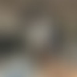 Mummu - ~2-aastane kassineiu (Kassituba, Nõmme)