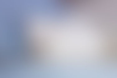 Bilby - ~3-aastane kassinoormees (Kassituba, Nõmme)