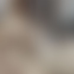 Minna - ~4-aastane kassineiu (Kassituba, Nõmme)