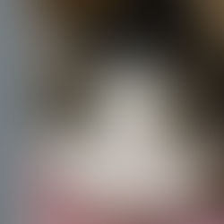 Pääsuke - 8-kuune kassipoiss (Kassituba, Nõmme)