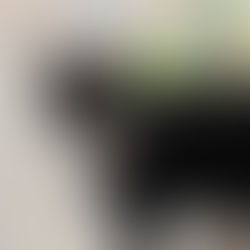 Peppi - ~noorem kassineiu (Kassituba, Nõmme)