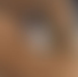 Mojo - ~3 kuune kassipoiss (Tartu)