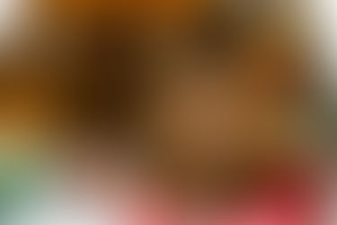 Bellatrix - ~6-aastane kassipreili (Kassituba, Nõmme)