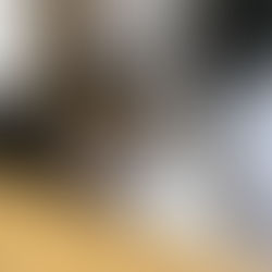 Mamma Mia - ~3-aastane kassineiu (Kassituba, Nõmme)