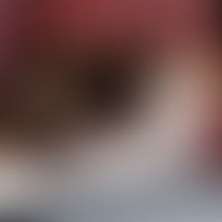 Isidora - ~4-aastane kassineiu (Kassituba, Nõmme)