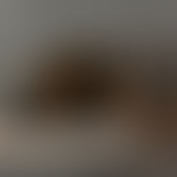 Kukkel - nooruke kassitüdruk (Kassituba, Nõmme)