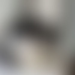 Tiki - ~noor kassipoiss (Kassituba, Nõmme)