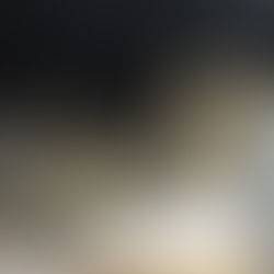 Clawdia - noorem kassineiu (Kassituba, Nõmme)