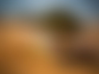 Nuno Matos e Ricardo Claro de regresso ao CPTT na Baja do Algarve