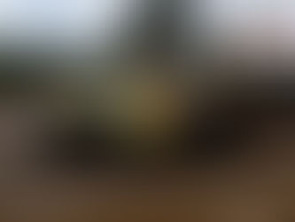 W2RC: bp Ultimate Rally-Raid Portugal promete seis dias de competição intensa entre Portugal e Espanha