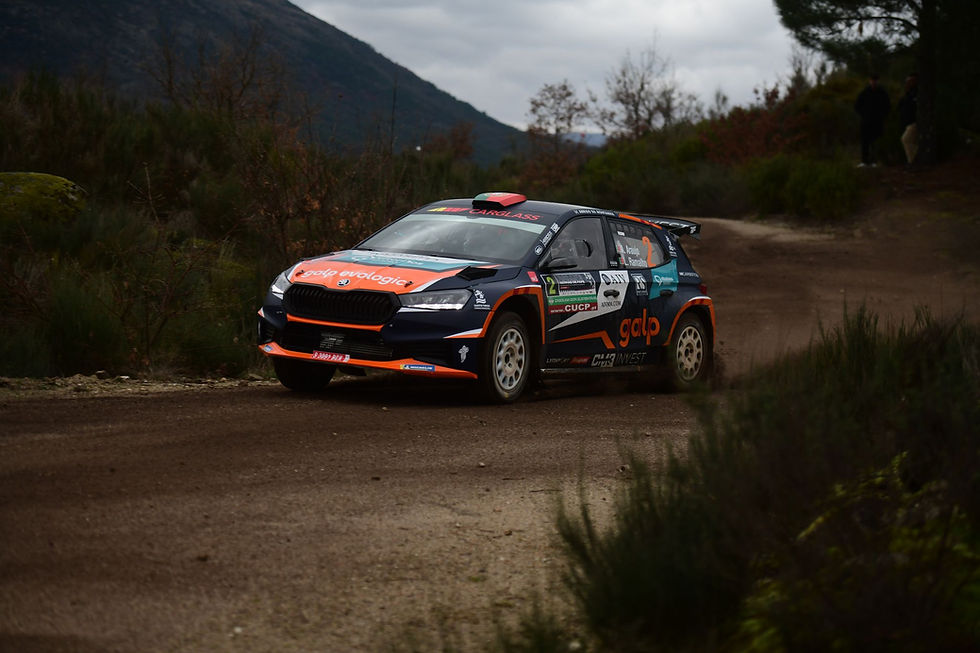 Armindo Araújo/Luís Ramalho (Skoda Fabia RS Rally2)