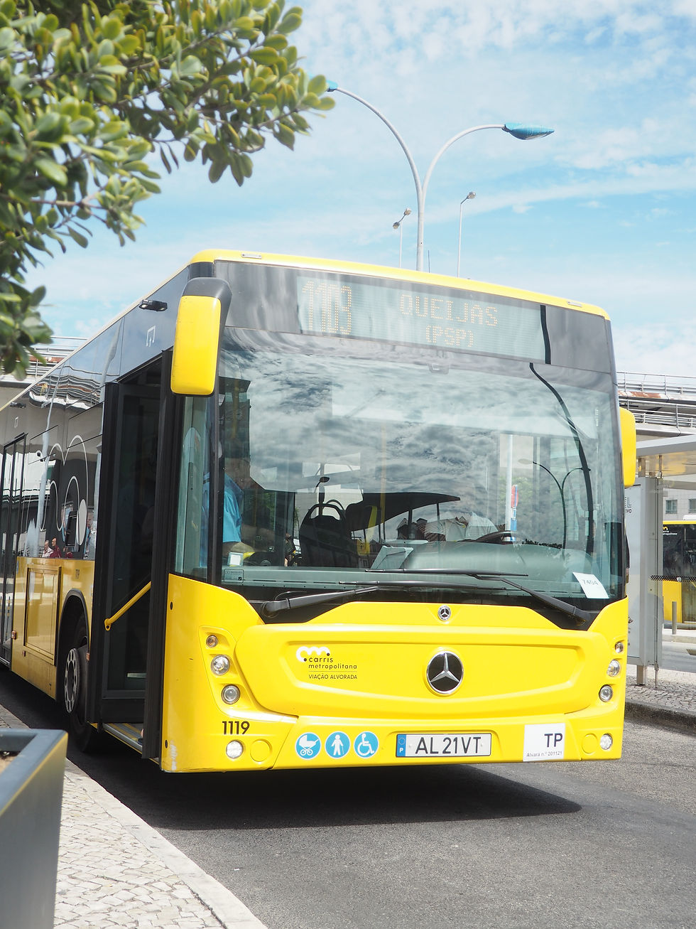 Carris Metropolitana cria canais de WhatsApp por regiões para reforçar informação aos passageiros