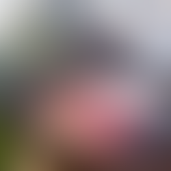 Ainda com neve, Serra da Estrela impulsiona turismo e destaca oferta de alojamento rural