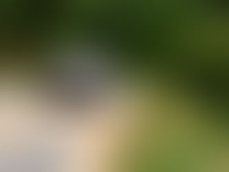 Novo BMW X5 entra na fase final de desenvolvimento e prepara estreia com cinco tecnologias de propulsão