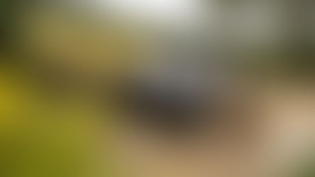 Dia de vitória brasileira com Lucas Moraes no Rally-Raid Portugal