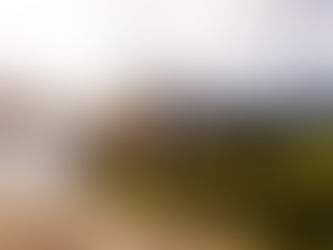 Neuville aproveita drama de Ogier e conquista vitória épica no Rally de Portugal