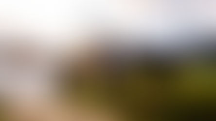 Neuville aproveita drama de Ogier e conquista vitória épica no Rally de Portugal