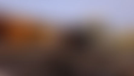 Museu Nacional Ferroviário ultrapassa 40 mil visitantes no ano em que celebra uma década de existência