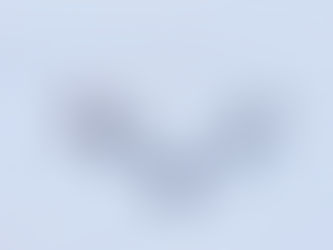 Changan aposta em baterias de iões de sódio da CATL para futuros modelos de passageiros