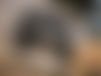 Rally Raid Portugal: Sanders volta à liderança, portugueses brilham e Moraes segura vantagem mínima