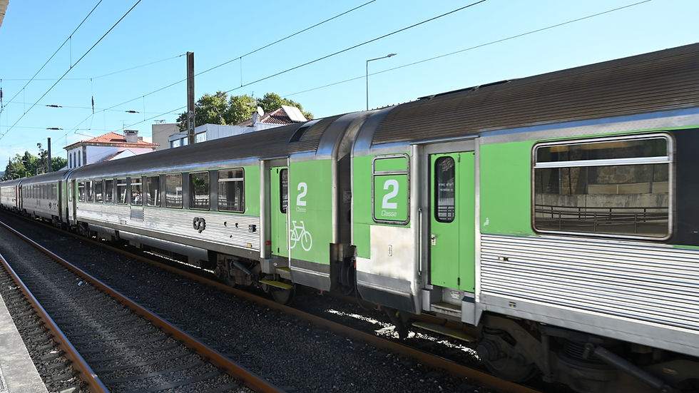 CP oferece 10 mil viagens gratuitas para redescobrir a Linha da Beira Alta após reabertura total