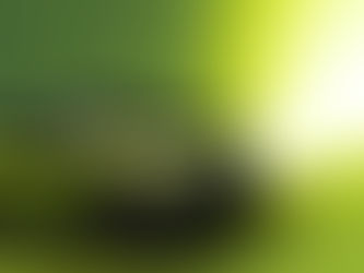 Nissan revela Juke 100% elétrico e acelera ofensiva elétrica na Europa