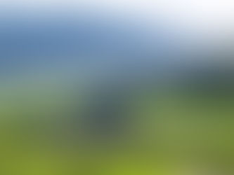 Stadler prepara transferência de 93 comboios suíços para a Hungria após modernização profunda