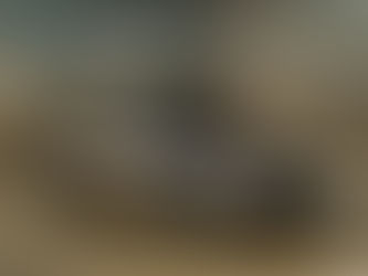 DS Nº8 é o novo topo de gama da marca francesa que chega no início do verão