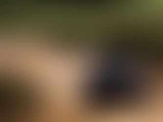 Raid Portugal: Sanders e Lategan dominam em Grândola