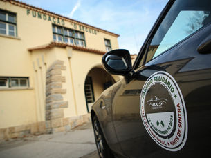 Quarenta trenós de Natal do modelo Mazda MX-5