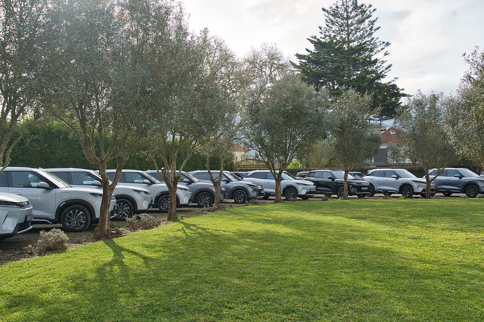 BYD reforça ofensiva nos SUV compactos com ATTO 2 DM-i e nova versão elétrica Comfort