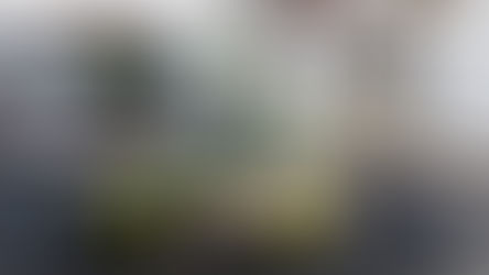 Afonso Santos reage em Castelo Branco com vitória entre os Juniores 