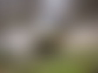 Jornalistas europeus conheceram o novo Jeep Avenger e-Hybrid