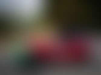 Stellantis em destaque no Caramulo Motorfestival 2024