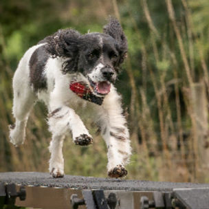 pierre-chatel-innocenti-Lk-nu_hX6ms-unsplash 2_edited_edited.jpg