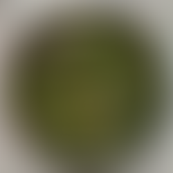 Benefits of Lemongrass | Yoga of Eating