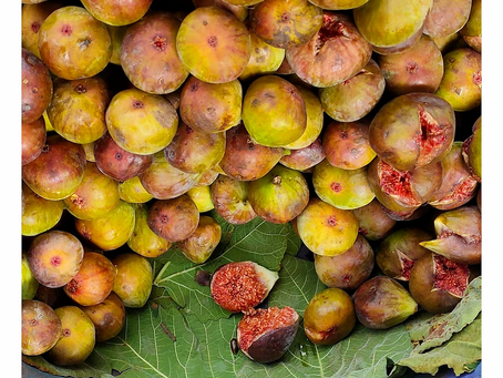 Figs | Yoga of Eating