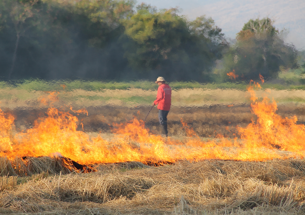 Waste Burning.png
