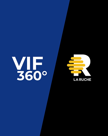 viflaruche linkedin (1).png