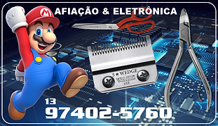 Eletrovila